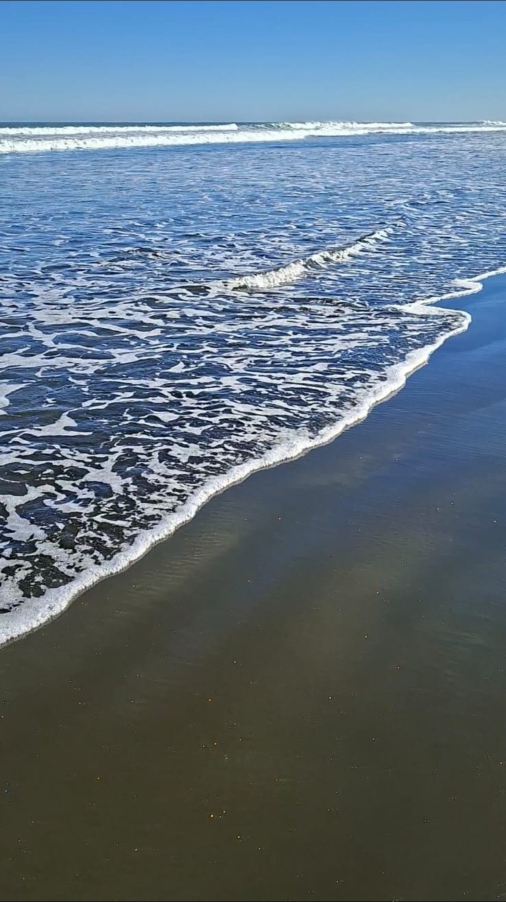 A gentle wave washing across dark sand beneath a clear blue sky